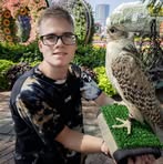 Profile Picture of David Pašák (@David-Pašák) on Facebook