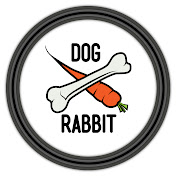 Profile Picture of Aman-Shah Andrew (@aman-shahandrew6116) on Youtube