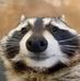 Profile Picture of Travis Poole (@travis.poole.3557) on Facebook