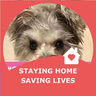 Profile Picture of Gena Page (Gena Landsman Page) (@gena.page.7) on Facebook