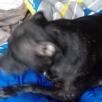 Profile Picture of June Chalker (@june.chalker.3) on Facebook