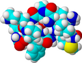 Profile Picture of Substance P - Wikipediaon Wikipedia