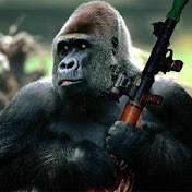 Profile Picture of Alex Perea (@alexperea7500) on Youtube