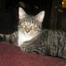 Profile Picture of Cloud Foster (@cloud.foster) on Facebook