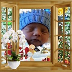 Profile Picture of Brian Calder (@briancalder) on Tiktok