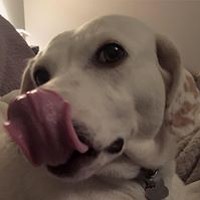 Profile Picture of Adam Kies (@adam-kies-1) on Quora