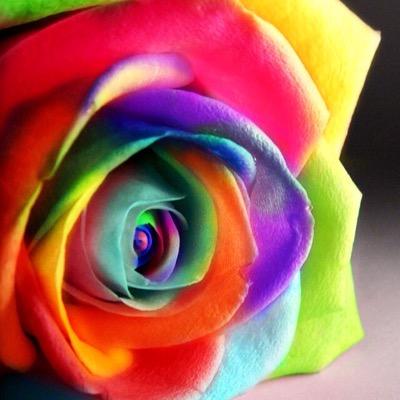 Profile Picture of Kourtney Wright (@Fangirling_22) on Twitter