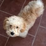 Profile Picture of Jean Corrie (@jean.corrie.79) on Facebook