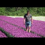 Profile Picture of Erik de Roos (@erik.deroos.16) on Instagram