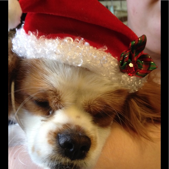 Profile Picture of Jenee' Zeski (@rorebeck) on Poshmark