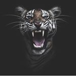 Profile Picture of Lisa Storm Hernström (@secondbystorm) on Instagram
