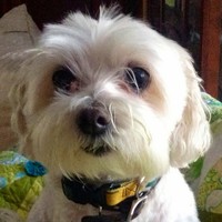 Profile Picture of James Marzan (@james-marzan) on Quora