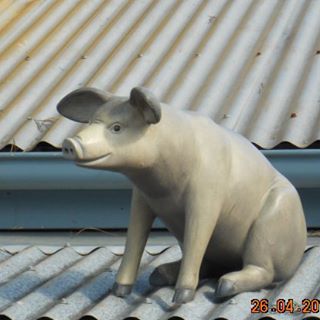 Profile Picture of Paula Jacobucci (@paula.jacobucci) on Facebook