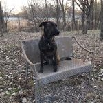 Profile Picture of Anthony Spessard (@anthonyspessard) on Instagram