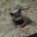 Profile Picture of Peter Schello (@peter.schello.7) on Facebook