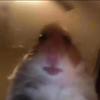 Profile Picture of paul (@paullatt7) on Tiktok