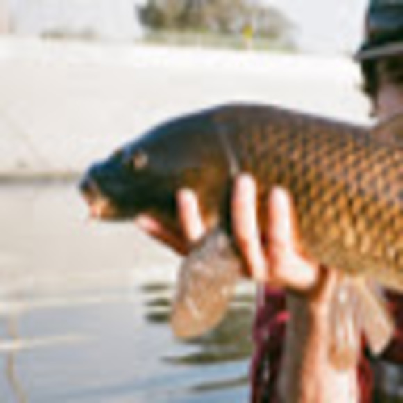 Profile Picture of Lauren Mollica (@laurenmollica) on Poshmark