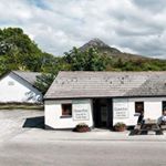 Profile Picture of Cloverfox Connemara (@connemaracloverfox) on Instagram