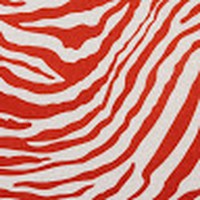 Profile Picture of Ava Freeman (@ava-freeman-26) on Quora