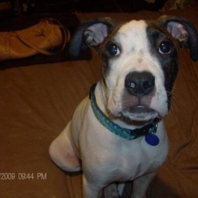Profile Picture of Chris Hecker (@Scoopy2009) on Twitter
