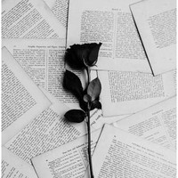 Profile Picture of Luca Daria Alexandra (@luca-daria-alexandra) on Quora