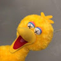 Profile Picture of Xuanqi Zhang (@xuanqi-zhang-4) on Quora