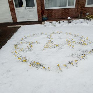 Profile Picture of Andrew Sherrington (@Andrew-Sherrington) on Facebook