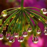 Profile Picture of Michelle Jeffries (@michelle-jeffries-10) on Quora