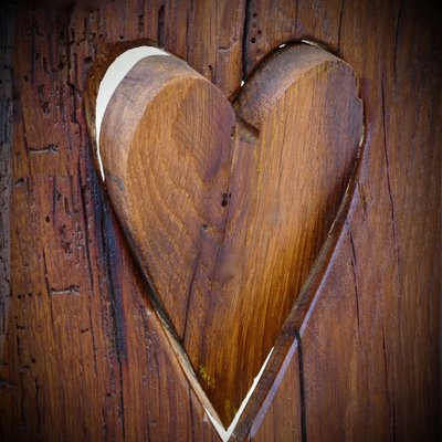 Profile Picture of Taryn Higgins (@higginsproducts) on Twitter