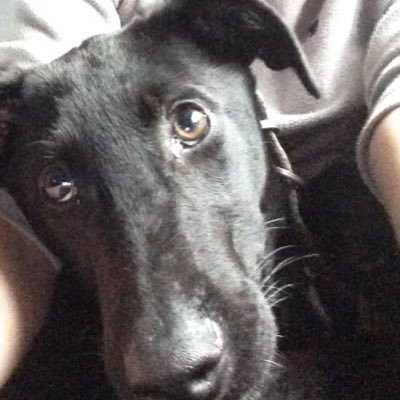 Profile Picture of Marshall Browne (@poopooopooopoo) on Twitter