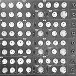 Profile Picture of Alex Wilford (@digital_midgets) on Instagram