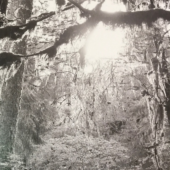 Profile Picture of Jenn Gizinski (@jgizinski) on Poshmark