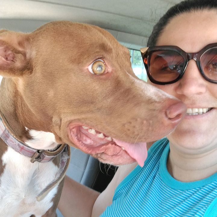 Profile Picture of Ellen Coman (@@ellencoman) on Tiktok