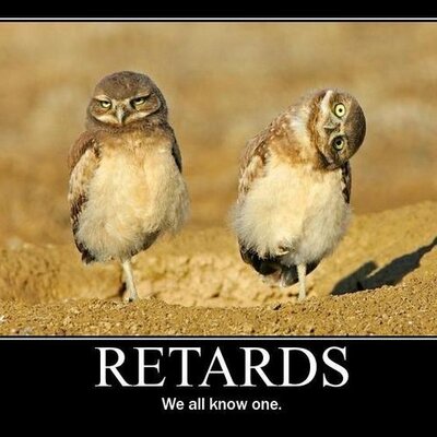 Profile Picture of Nicholas Rodak (@nrodak01) on Twitter