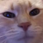 Profile Picture of Alex Havens (@alex.havens.413172) on Facebook