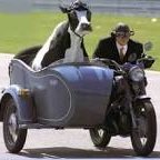 Christopher M.Sowers - Twitter Profile Picture of Christopher M.Sowers (@CMSowers6) on Twitter