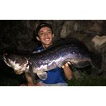 Profile Picture of Nicolaus Mark (@bobaludyn) on Instagram