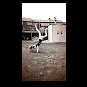 Profile Picture of Alexea Splitgerber (@alexeats) on Pinterest