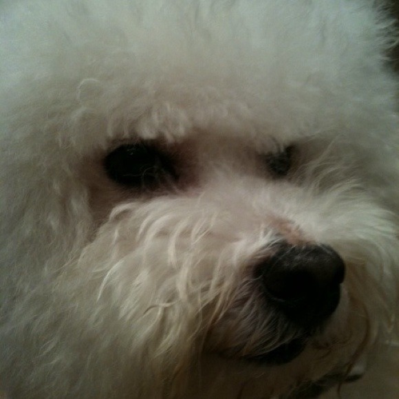 Profile Picture of Ruth Chow (@oliverbaby) on Poshmark