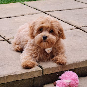 Profile Picture of David Donovan (@daviddonovan9114) on Youtube