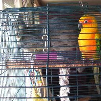 Profile Picture of Devin Burns (@devinburns6) on Twitter