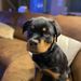 Profile Picture of Tommy Hayes (@tojorha) on Pinterest