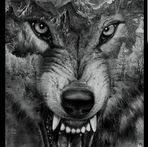 Profile Picture of Piotr Wlodarczyk (@piotr.wlodarczyk.357) on Facebook