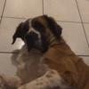 Profile Picture of Antonio Cavazos (@@antoniocavazos07) on Tiktok