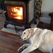 Bob Pease - Youtube Profile Picture of Bob Pease (@rgplpc) on Youtube