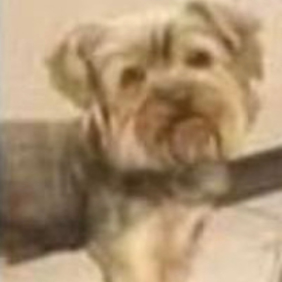 Profile Picture of Veronica Leafblad (@silvervanrouge) on Poshmark