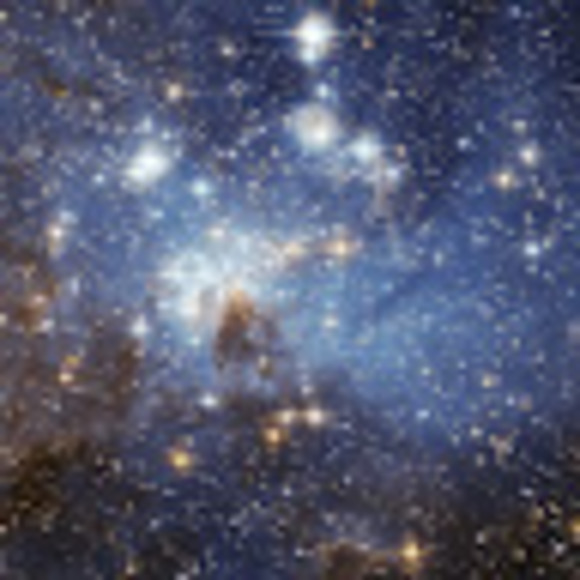 Profile Picture of Zach Allen (@zachallen397) on Poshmark