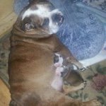 Profile Picture of Lisa Camp (@maceydoo) on Instagram