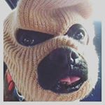 Profile Picture of STEVE  WRAY (@realstevewray) on Instagram