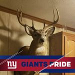 Profile Picture of Tim Summers (@tim.summers.180) on Instagram